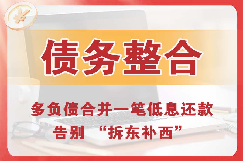 平原示范区债务整合